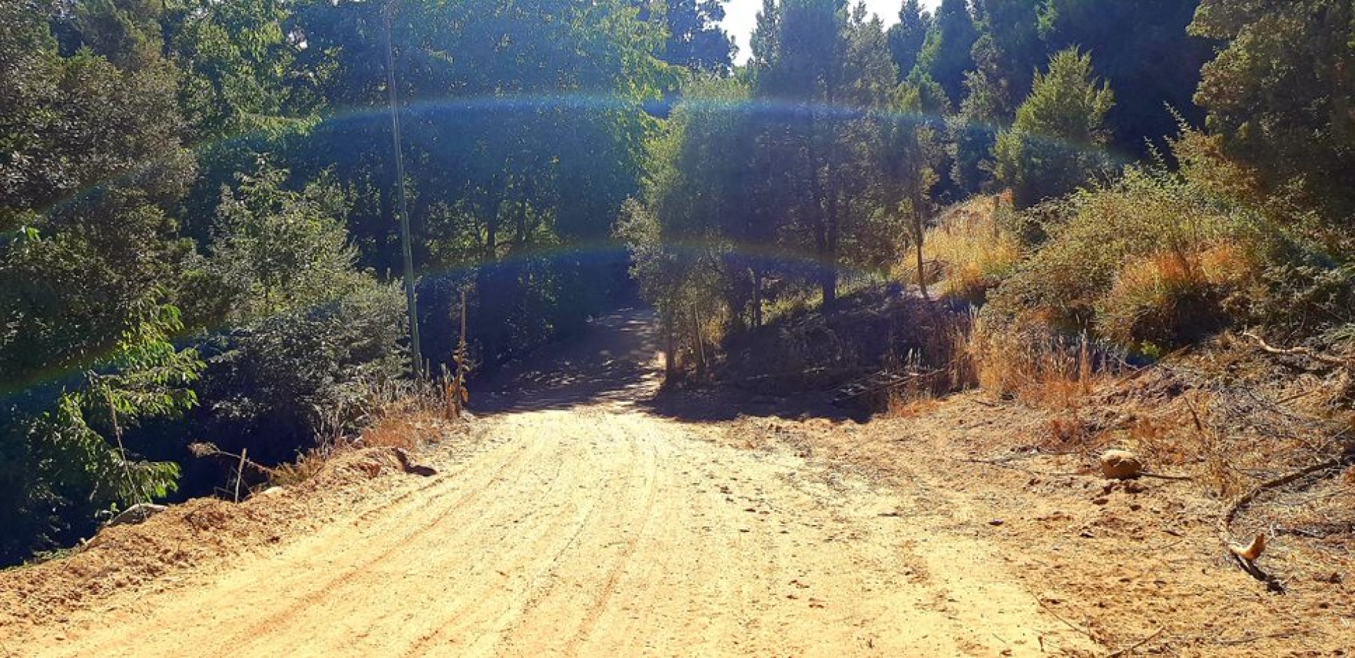 Lotes de 800 mts2 en San Martin de los Andes